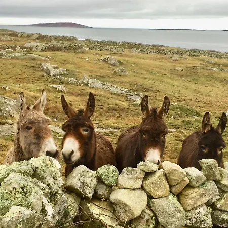 Lyxtält Earls View Maxi Pod Carna