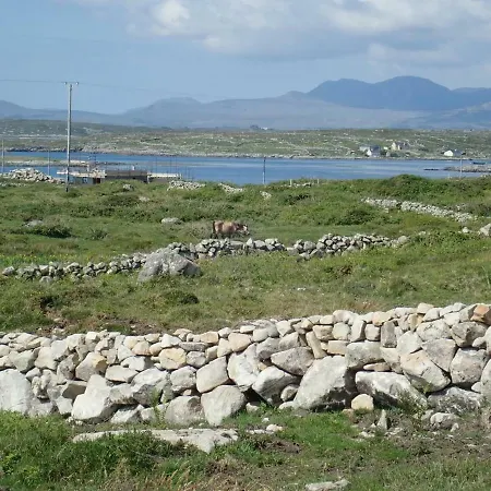 Οργανωμένο κάμπινγκ Earls View Maxi Pod Carna