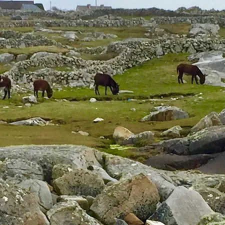 Earls View Maxi Pod * Carna