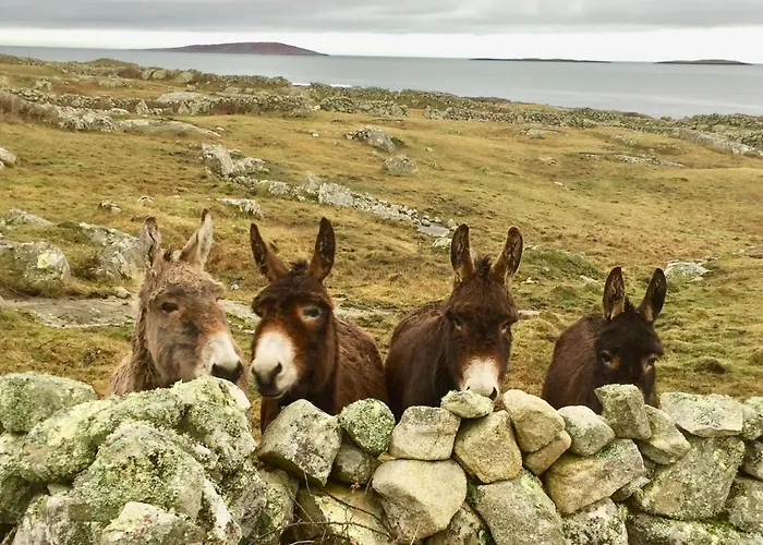 Роскошный шатер Earls View Maxi Pod Carna