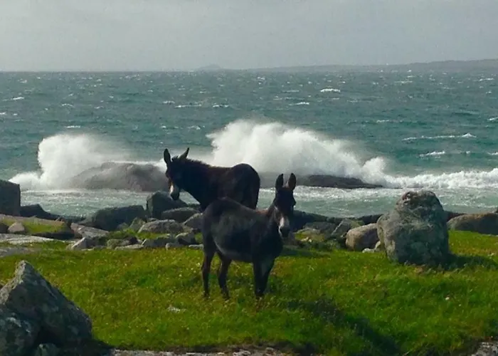 Роскошный шатер Earls View Maxi Pod Carna